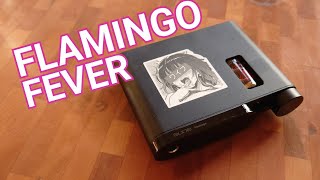 Aune Flamingo vai te fazer tão feliz || Z Reviews