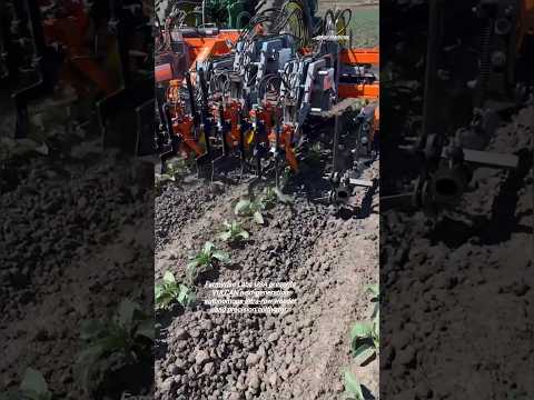 VULCAN Autonomous Intra-Row Weeder & Precision Cultivator || Made By FarmWise Labs USA || #farming