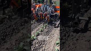 VULCAN Autonomous Intra-Row Weeder & Precision Cultivator || Made By FarmWise Labs USA || #farming