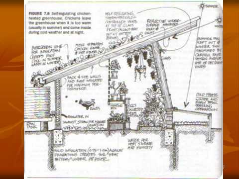 Bill Mollison’s Greenhouse/Chicken Coop