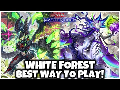 BEST WAY TO PLAY WHITE FOREST AZAMINA!