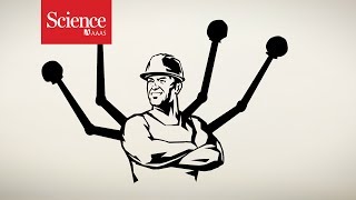 Ever wanted a mechanical third arm?