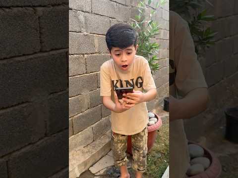 تحدي بلونه هاتف realme Note 70 😲