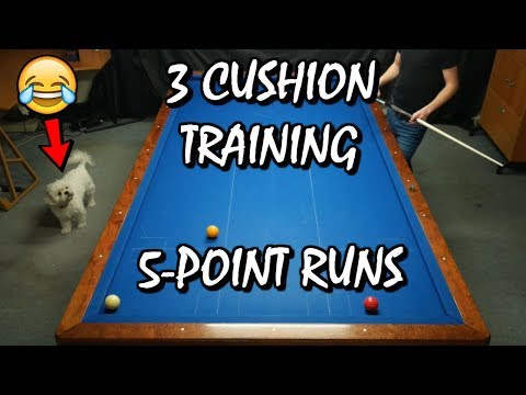 MY DOG IS A MANIAC?! - TOP 7 BEST RUNS IN 3 CUSHION TRAINING