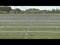 Zonnepark met duizenden panelen verrijst naast A15