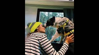 Download lagu Hande erçel klip#2 mp3