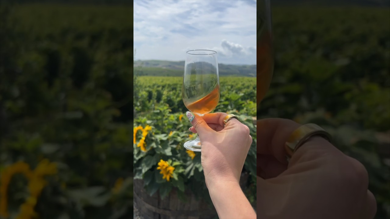 YouTube Short thumbnail