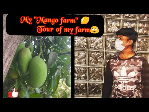 Is it my farm🙄🙄🙄???? | Oo bhai yeh kya kar diya isne😔😔😔