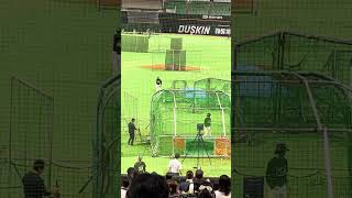 9年ぶり「聖地観戦」を前に、クラブホークス会員特典で鷹の練習見学。