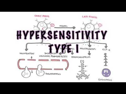 Hypersensitivity Type I reaction (Immediate or allergic reaction) - pathophysiology