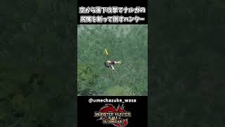 10秒で面白い ナルガクルガの尻尾を斬り落すハンター【モンハンサンブレイク】