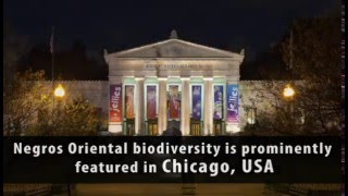 10 THINGS YOU SHOULD KNOW ABOUT DUMAGUETE