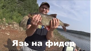 Каша на язя для фидера