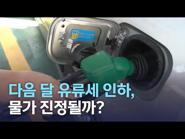 다음 달 유류세 인하, 물가 진정될까?