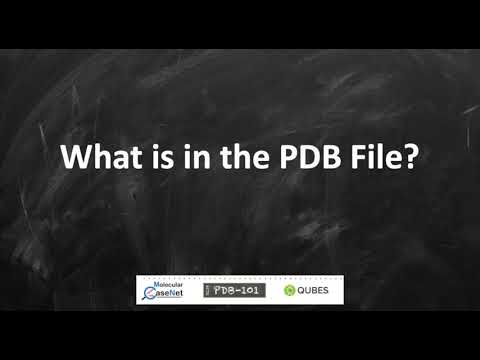 What is in the PDB File?