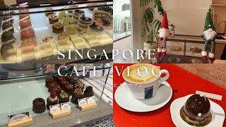 【2025年最新版🇸🇬】🍰☕️🌿シンガポールで可愛いカフェ巡り/在住者が教える本当におすすめのカフェ6選🐻/女子旅/シンガポール旅行/カフェ/インスタ映え