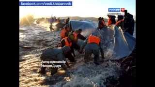 Наводнение в комсомольске на амуре 2013