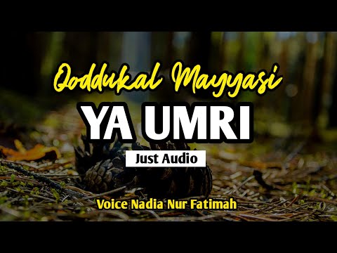 Qoddukal Mayyaz Ya Umri - Nadia Fatimah Terbaru