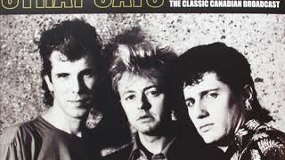 Stray Cats - You Can&#39;t Hurry Love (live) Chicago, 1982 FM Broadcast