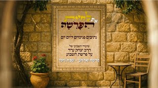 לחיות את הפרשה | ואתחנן - שבת נחמו | הרב יצחק ערד (הרב יצחק ערד) - התמונה מוצגת ישירות מתוך אתר האינטרנט יוטיוב. זכויות היוצרים בתמונה שייכות ליוצרה. קישור קרדיט למקור התוכן נמצא בתוך דף הסרטון