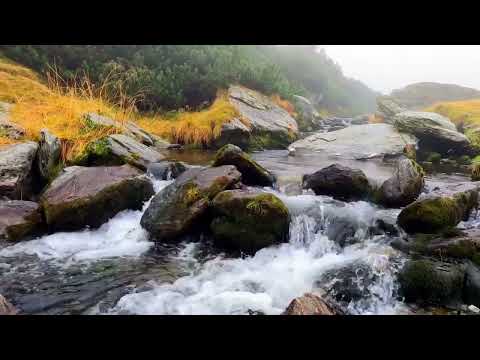 26. Oh! Virgem Mãe Divina - Hinário Seis de Janeiro - Padrinho João Pereira