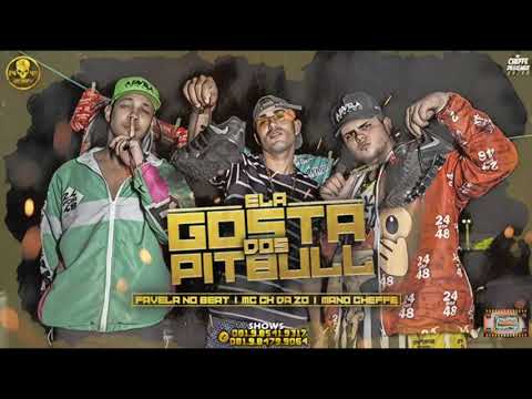 ⚪MC CH DA ZO , FAVELA NO BEAT , MANO CHEFFE - ELA GOSTA DOS PITBULL  #bregafunk