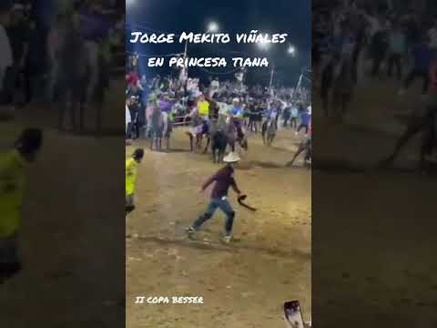 Jorge Mekito Viñales en princesa Tíana, de Ramón Laguna #feveco #coleo #toros #caballos #coleo