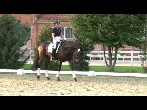 Lemony's Nicket - Präsentation 2. Oktober 2011 der 125. Elite-Auktion