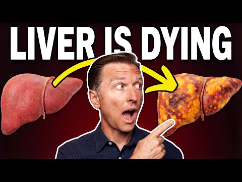 Dr. Eric Berg DC and Dr. Berg Shorts