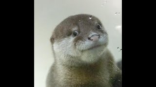 RUST クラブ拠点