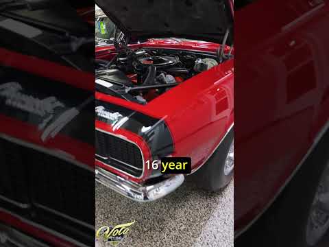 1967 Chevrolet Camaro (CC-1949685) for sale in Volo, Illinois