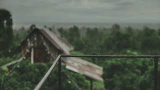 Nellie McKay - The Portal cover