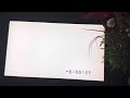 Closing To Holiday Inn 1986 VHS