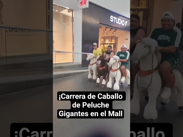 Vídeo relacionado con Caballo de Peluche Mony K. Pony de 27 cm, Blanco, Suave muñeco NICI, Adorable Animal para abrazarlo y Jugar, Idea de Regalo para niños y Personas Adultas, 62237