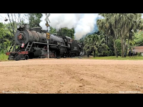 🇧🇷 Trio de locomotivas da ABPF/Sul / Three ABPF/Sul locomotives -  (Brasil)