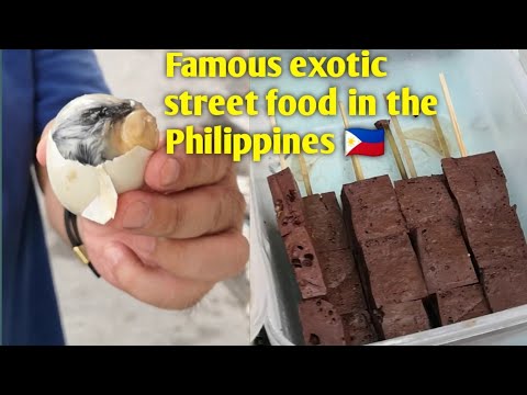 Famous Exotic Street Food in Philippines