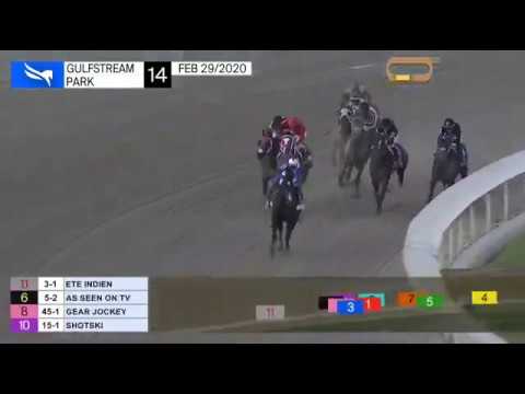 Fountain of Youth Stakes 2020