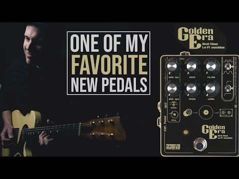 Demos in the Dark // TEFI Vintage Lab Golden Era Real-Time Lo-Fi Machine // Pedal Demo