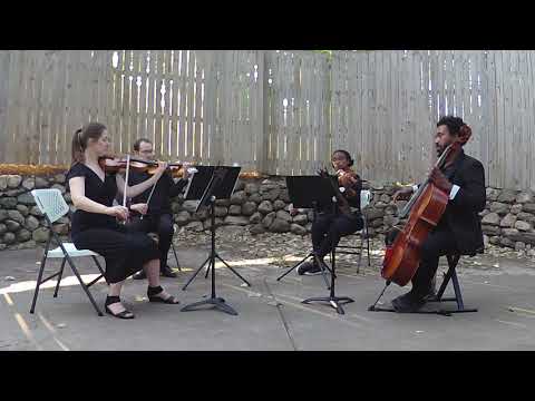 Promotional video thumbnail 3 for KalHaven Strings