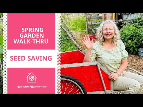 Grow an Endless Garden | Start Saving Seeds Today