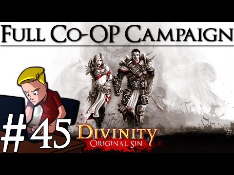 Divinity: Original Sin Enhanced Edition | Part 45 | Mushroom Icari