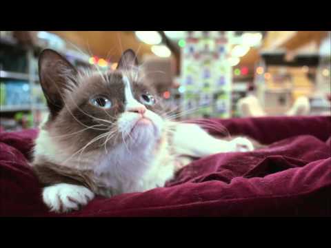 Grumpy Cat’s Worst Christmas Ever ft. Gilbert Gottfried