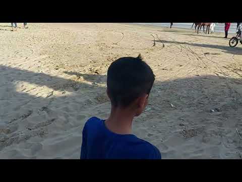 wali shah eat isecrame