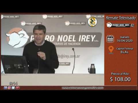 16-04-20 - Remate Televisado de Pedro Noel Irey S.R.L. - Capital Federal