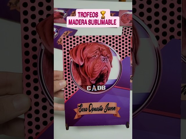 Vídeo relacionado con Trofeo para Personalizar tamaño 11x20cm, Especial para Regalos Personalizados, Entrega de premios, Eventos Deportivos y culturales