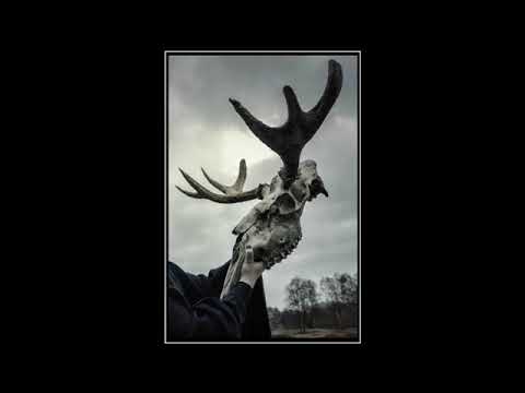 Sanne de Neige - Dans La Forêt