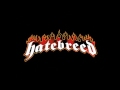 HATEBREED merciless tide