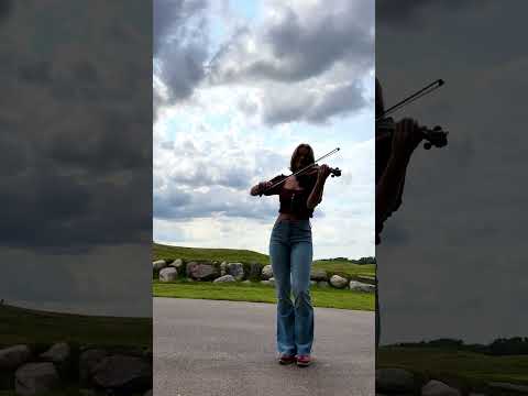 The Banshee Reel - Celtic Fiddle