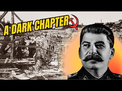 Why Fear Ruled: Investigating Stalin's Reign in the Great Purge