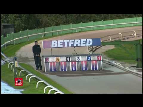 The BGBF/Nottingham British Breeders Stakes - Ht 2 - Salacres Barley